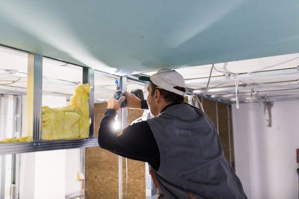 Best Specialized Insulation Services in Wadsworth, IL