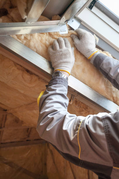 Best Cellulose Insulation in Wadsworth, IL