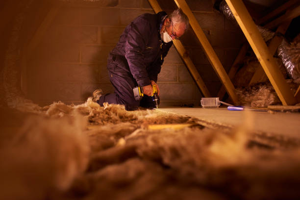 Best Geographic-Specific Insulation Services in Wadsworth, IL
