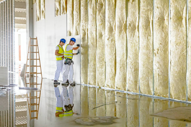 Types of Insulation We Offer in Wadsworth, IL